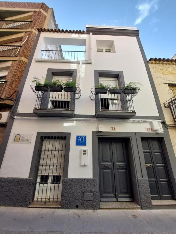 Apartamentos San Salvador Parking Gratis Merida Exterior foto